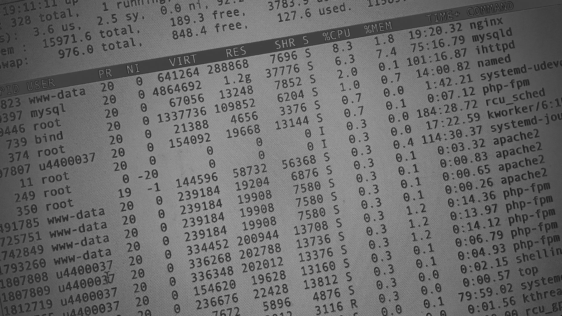 Настройка сервера в Яхроме