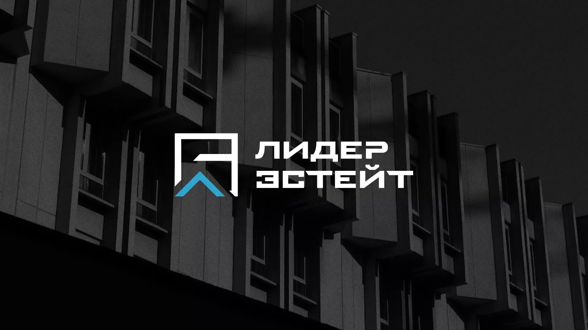 Разработка логотипа агентства недвижимости «Лидер Эстейт» в Яхроме